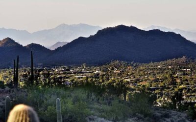 Focusing on Carefree Inspiration